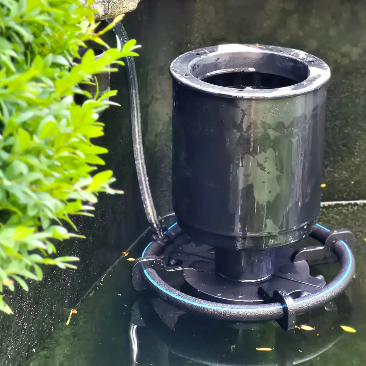 Skimmer Stop - Image 12